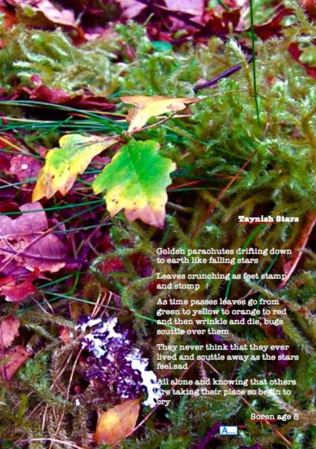 Soren Poem
