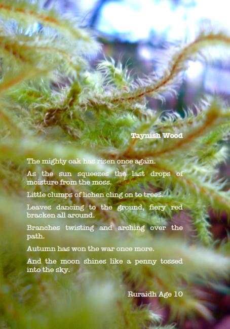 Ruraidh Poem