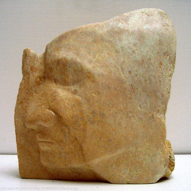 Petrified Sleeper