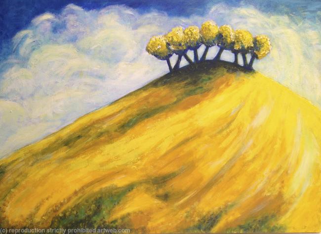 Copse Hill Summer