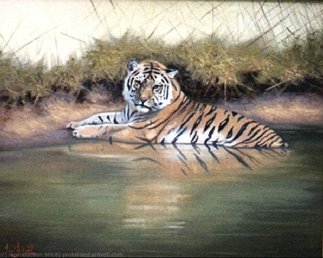 Tiger Cooling