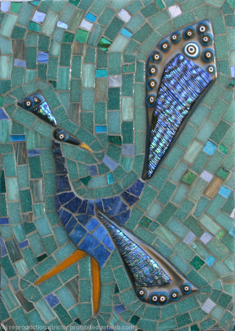 Blue Peacock Walking