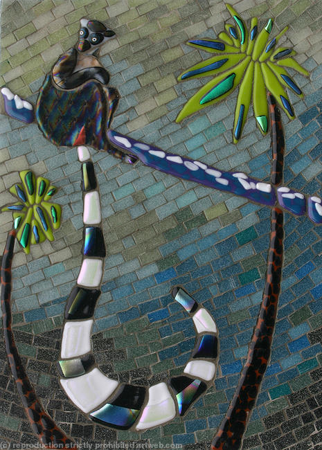 Ring Tailed Lemur