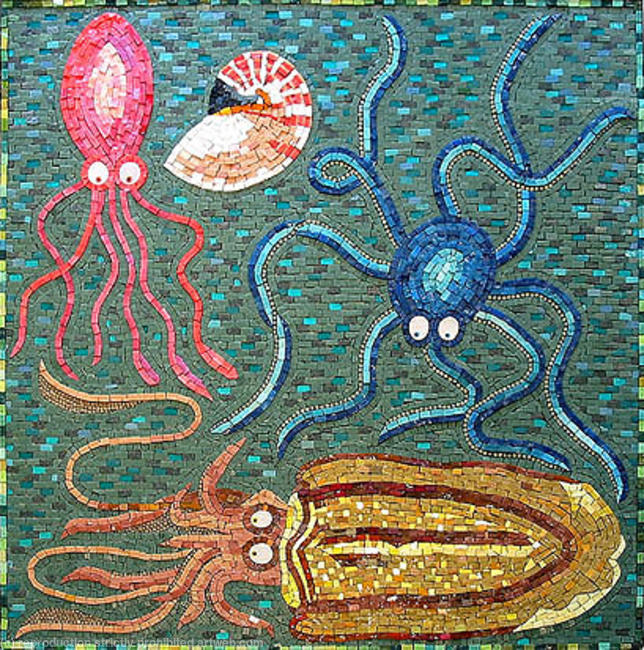 Cephalopods
