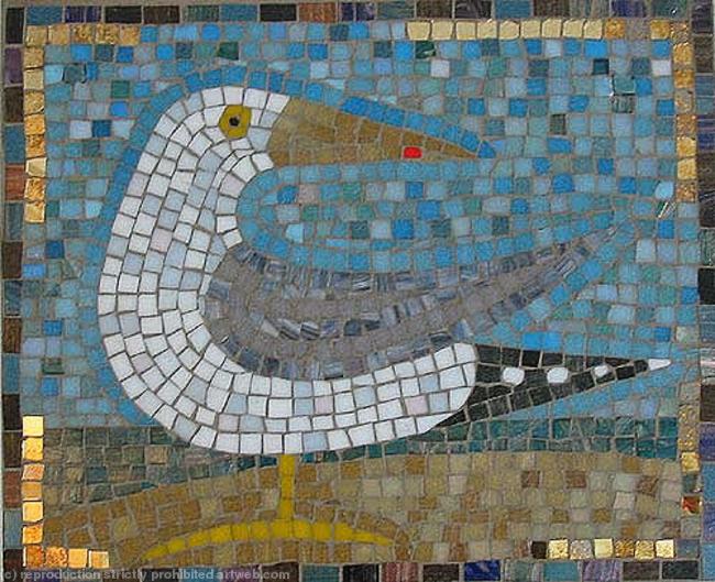Herring Gull