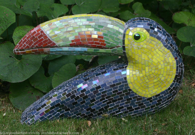 Toucan