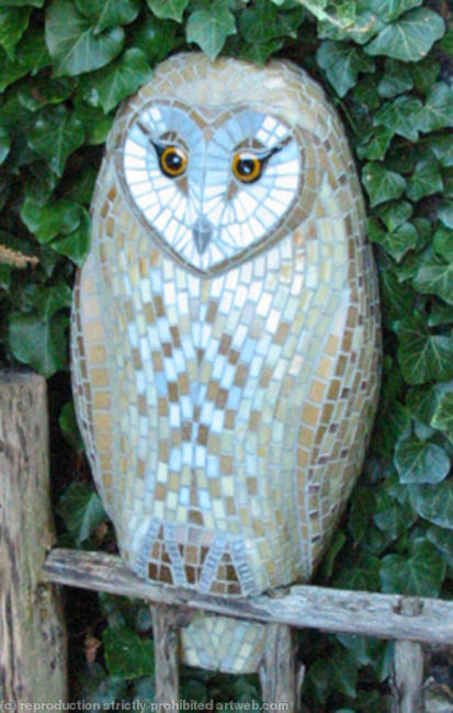 Barn Owl