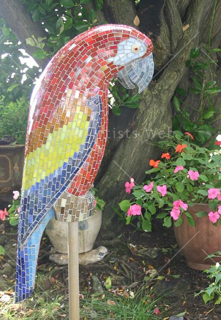 Macaw
