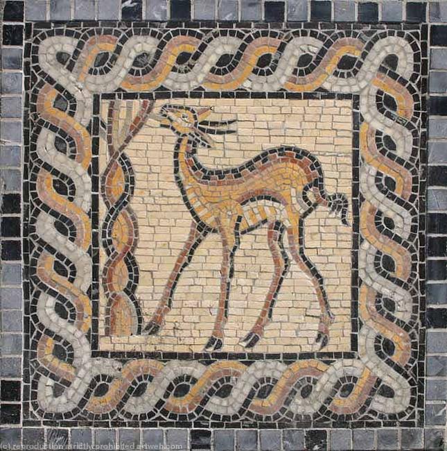 Deer 1