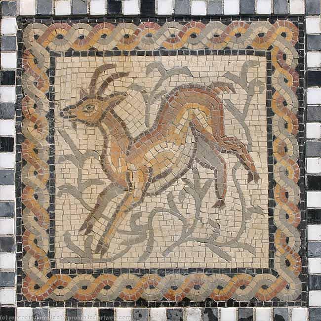 Deer 3