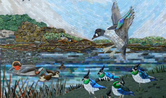 Duck in Flight