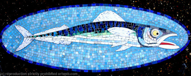 Blue Mackerel