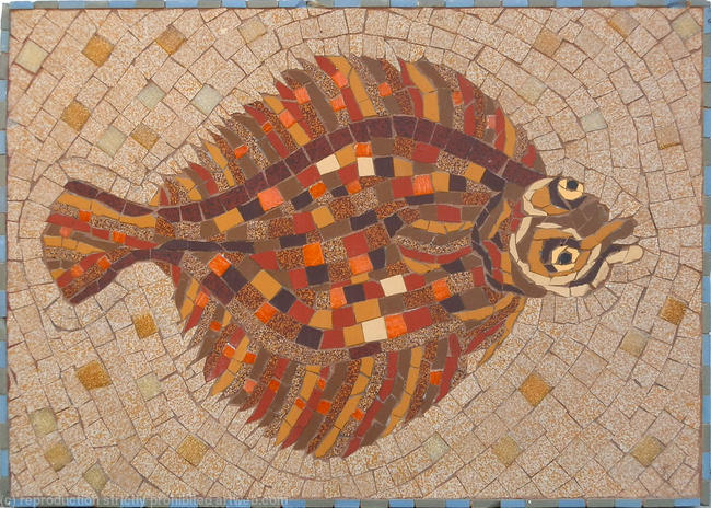 Plaice Fish