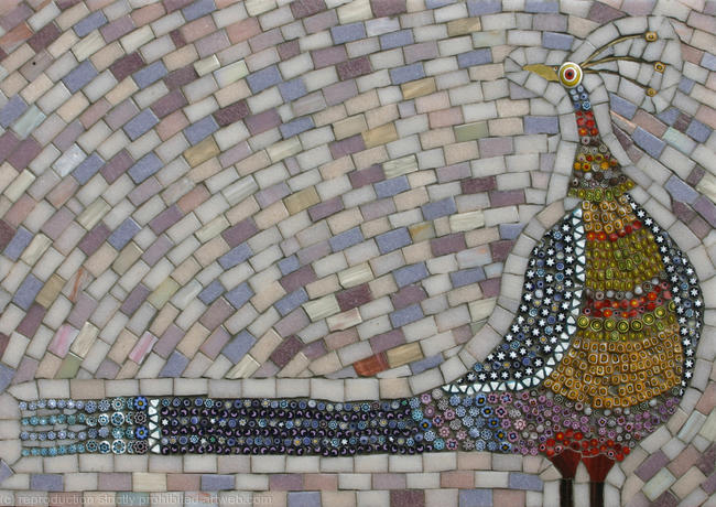 Pink Pheasant
