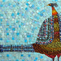 Startled Pheasant