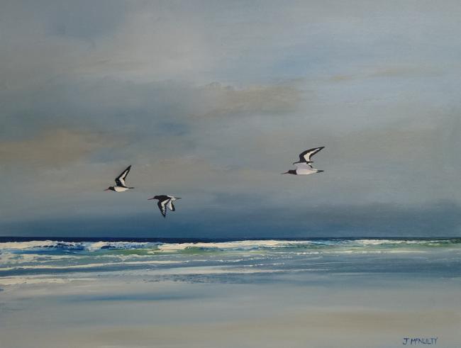 soft evening