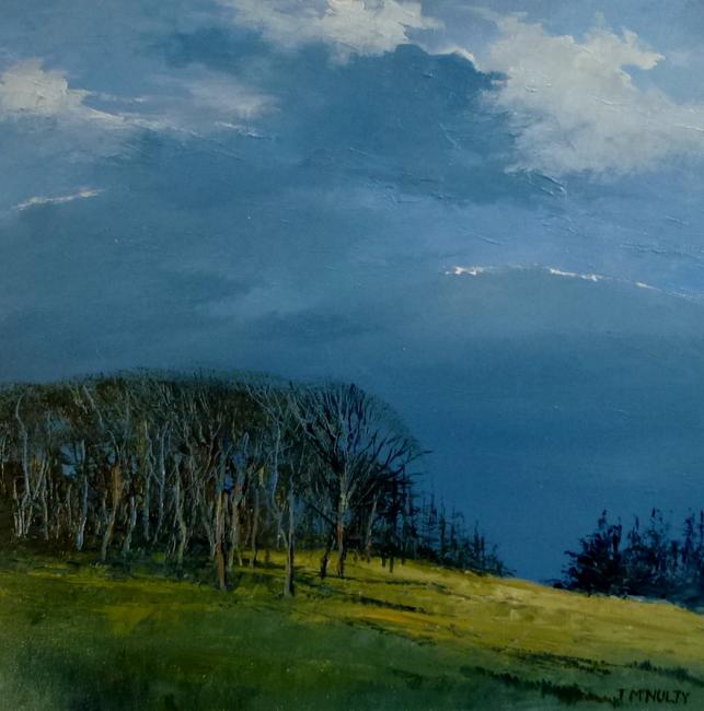 gap in the woods