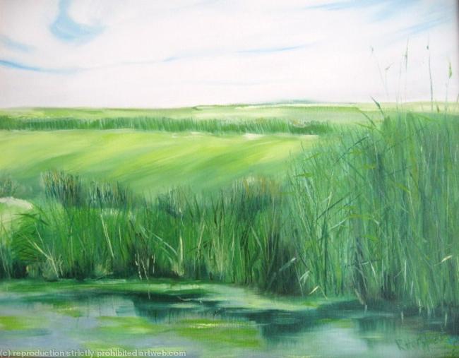 The Marshes
