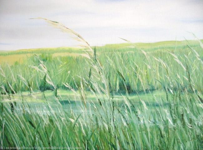 Whisps of grass