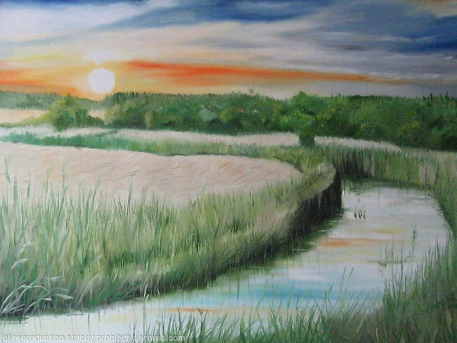 Sky over the Marshes