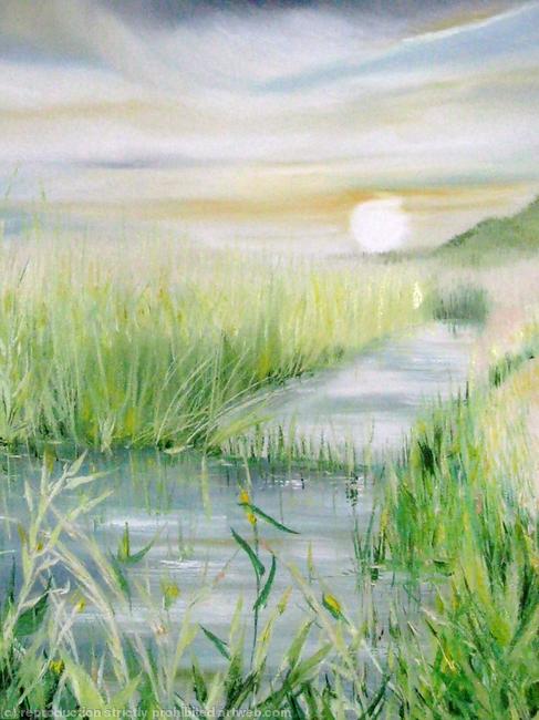 Sunset over the Marshes