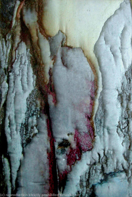 spanish bark 2