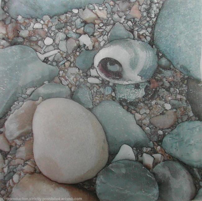 Shell and Pebbles
