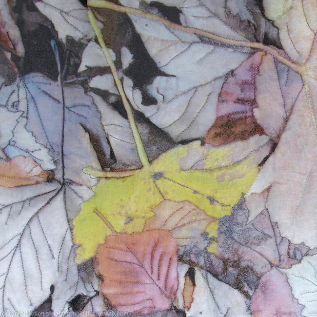 Stanmer Park Leaves - Card