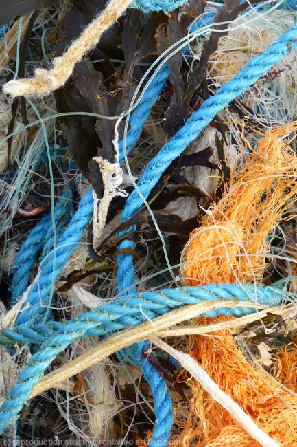 What a tangle!