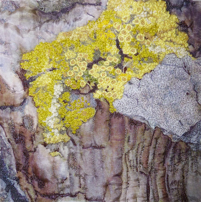 Yellow Patch