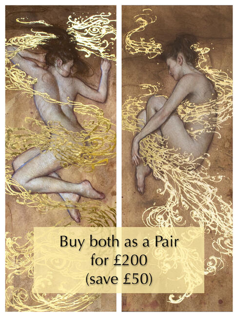Whirlpool and Wild Waters- Pair
