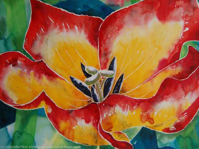 Red and Yellow Tulip