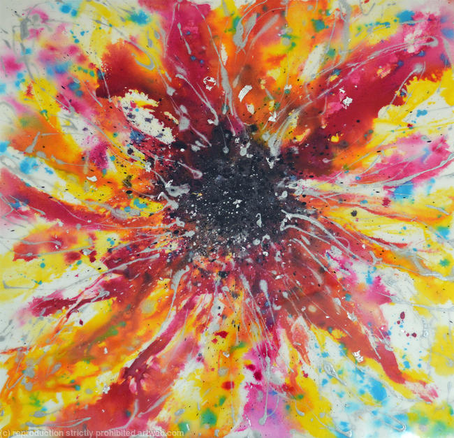 Bloom