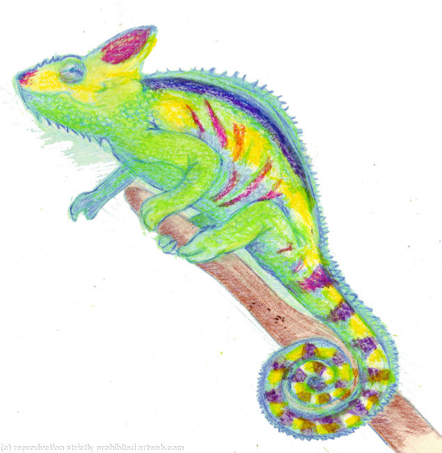 Chameleon