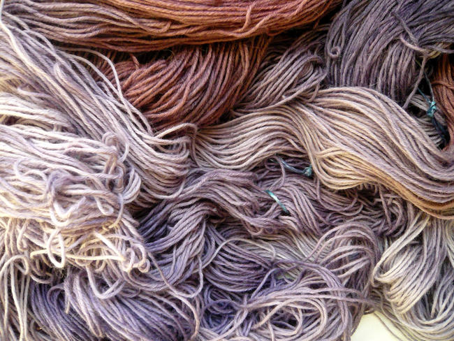 logwood and touch of brazilwood