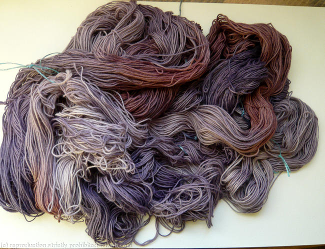 logwood and touch of brazilwood