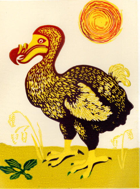 Dodo in the Sun