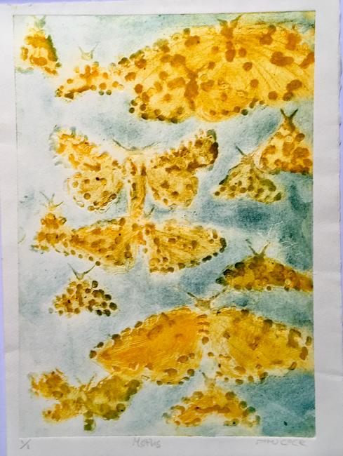 Many Moths