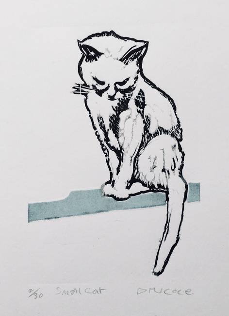 Small cat