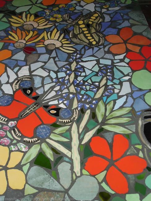 Flowers Butterflies