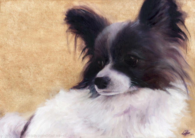 Papillion