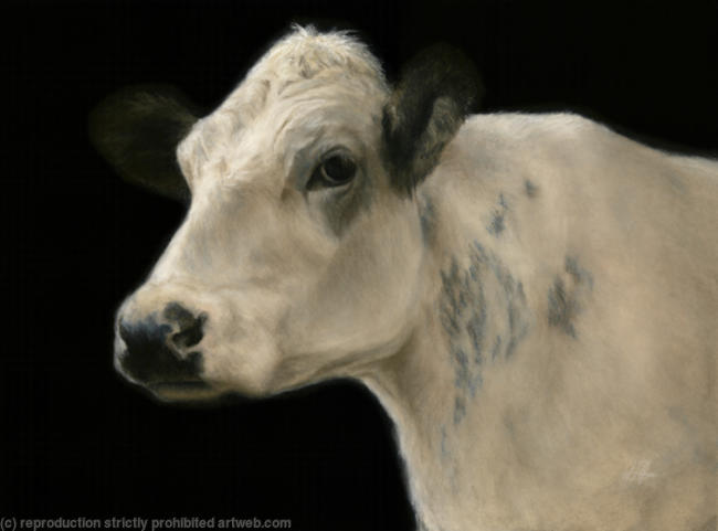 Serenity (Smaller Limited Edition Print)