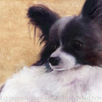 Papillion