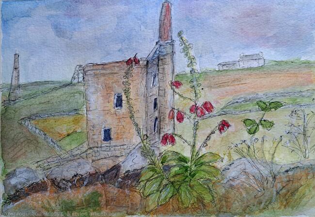 Cornish Landscape