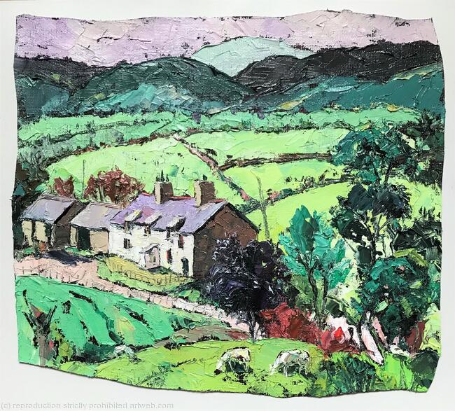 Welsh Hill Farm, Capel Curig, Caernarfonshire