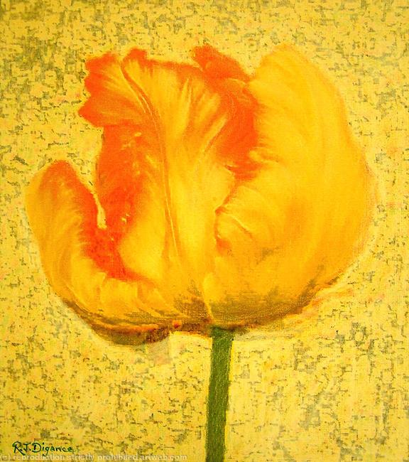 Yellow Tulip