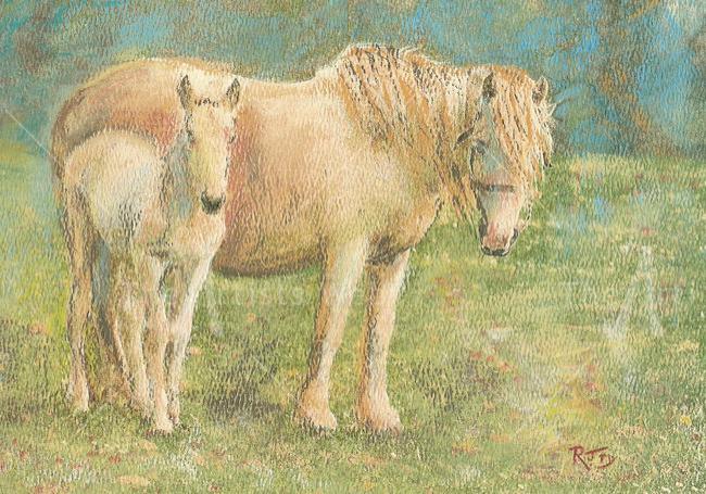 Grey Pony and Foal