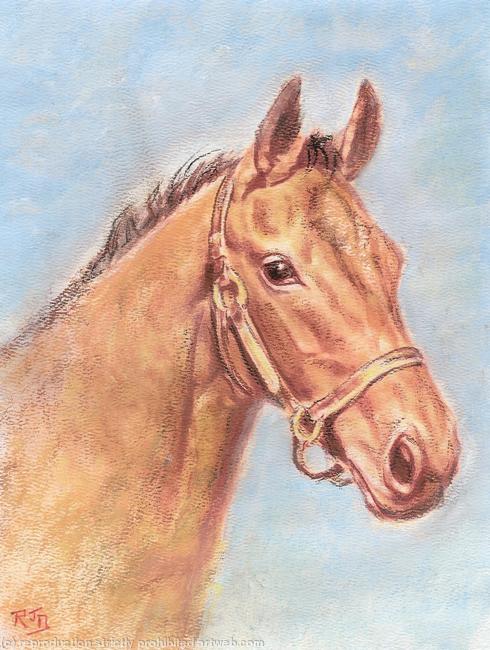 Horse head study