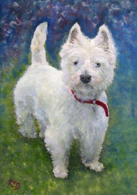 HOLLY - West Highland Terrier