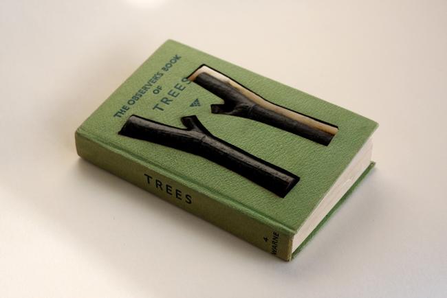 June Kingsbury; Emilys Dream II (Book of Trees)